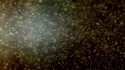 Wall Mural - Abstract background with animation of flying and flickering particles as bokeh of light. Animation of seamless loop.Dust bubbles snow animation.Bokeh Shiny Particles Loop Animation.