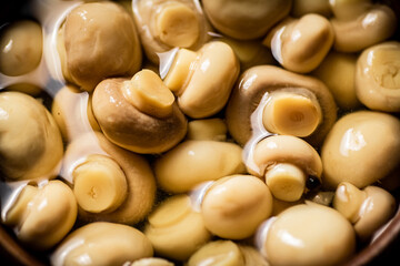 Sticker - Pickled mushrooms in brine. Macro background. 