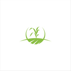 Wall Mural - Agriculture logo design, agronomy, wheat farm, rural country farming field, natural harvest vector.