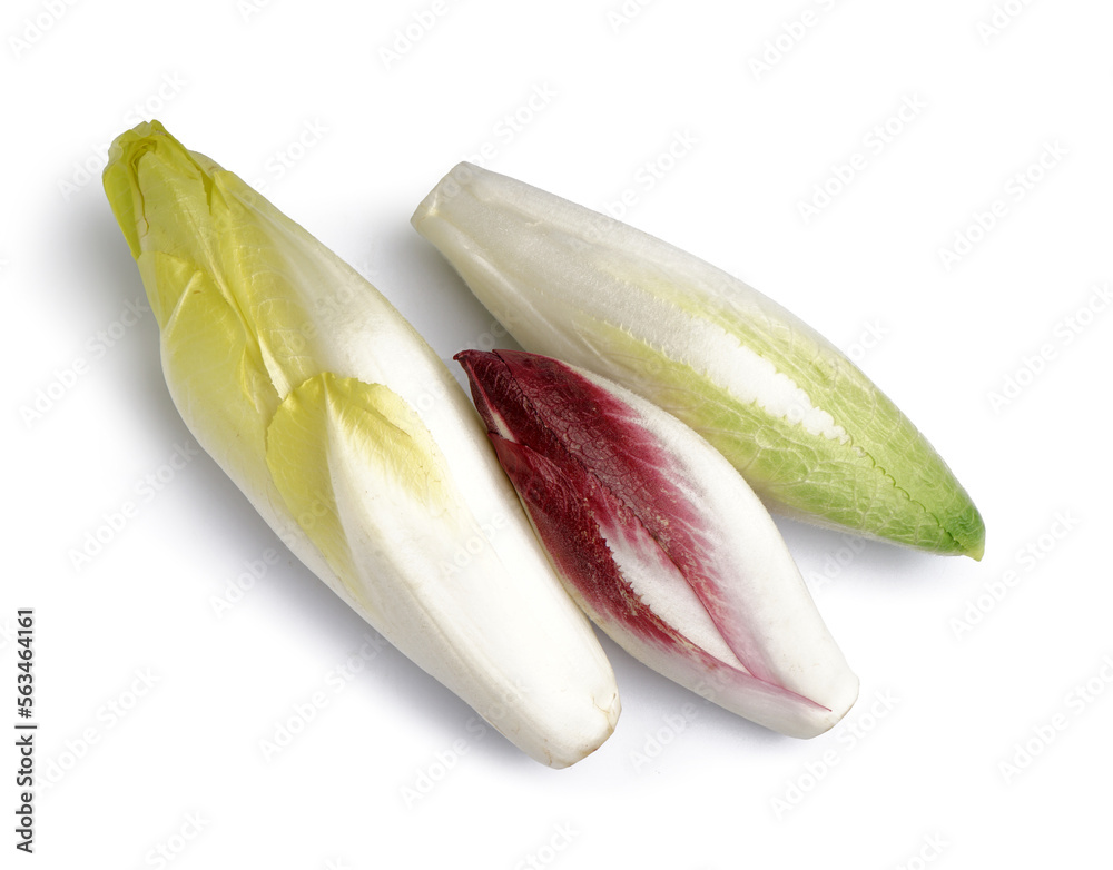 Bunches of fresh ripe endive on white background
