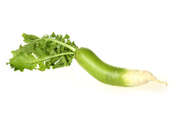 Poster - fresh radish isolated on white background 