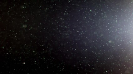 Wall Mural - Abstract background with animation of flying and flickering particles as bokeh of light. Animation of seamless loop.Dust bubbles snow animation.Bokeh Shiny Particles Loop Animation.