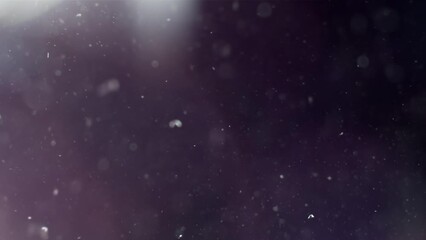 Wall Mural - Abstract background with animation of flying and flickering particles as bokeh of light. Animation of seamless loop.Dust bubbles snow animation.Bokeh Shiny Particles Loop Animation.