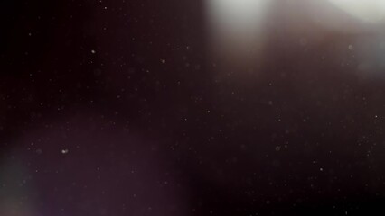 Wall Mural - Abstract background with animation of flying and flickering particles as bokeh of light. Animation of seamless loop.Dust bubbles snow animation.Bokeh Shiny Particles Loop Animation.