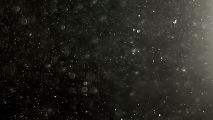 Wall Mural - Abstract background with animation of flying and flickering particles as bokeh of light. Animation of seamless loop.Dust bubbles snow animation.Bokeh Shiny Particles Loop Animation.