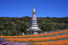Purple Pagoda With Flower Garden