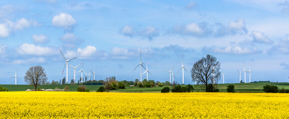 Canvas Print - Windmill farm. Renewable energy with wind mill park in rapeseed field, panorama.