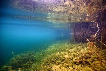 Wall Mural - clear water lake underwater, wallpaper swamp, fresh water river