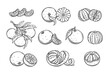 Mandarin line icons set vector illustration. Hand drawn outline whole orange tangerine or clementine and cut in half, segments and slices, fruit branch with flowers, mandarin wedges with zest twist