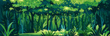 Wild wet dark jungle forest with trees, bushes and lianas, nature landscape with green jungle foliage and exotic plants growing on ground, horizontal banner with tropical plants on sunny day