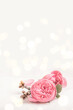 Pink Rose Flowers and Tree Branch with Buds on Light Grey Background with Romantic Bokeh Lights. Wedding, Mother´s Day or Valentine Concept with Copy Space.  