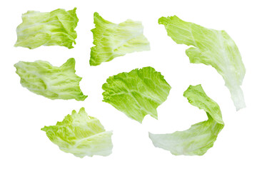 Set of various fresh green leaves of lettuce vegetable salad isolated on white background. With clipping path. Full depth of field. Focus stacking. PNG