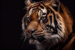 portrait of a tiger on a black background. generative ai