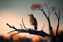 A Solitary Bird Standing On A Tree Branch Without Leaves, Looking Out At The Empty Sky, Ai