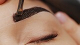 Fototapeta  - Woman having Eyebrow coloring procedure at beauty salon. Professional lamination procedures of female eyebrows in beauty salon.  Beauty care concept. Beauty master coloring eyebrow is working
