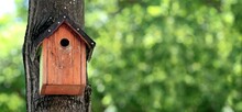 Homemade Bird Nesting Box Hangs On A Tree. Panoramic Image With Bokeh Background.