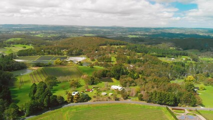 Canvas Print - South Australia Vineyards, aerial view from drone