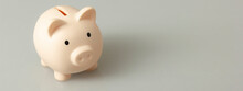 Pink Piggy Bank. Money And Business Concept. Copy Space For Text