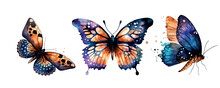Collection Watercolor Of Flying Butterflies Watercolor Set