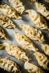 Poster - Raw dumplings gyoza on a baking sheet. 