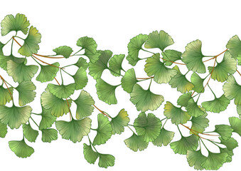 Wall Mural - Ginkgo biloba leaves. Seamless pattern, background. Vector illustration. In botanical style