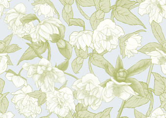 Wall Mural - White hellebore flowers, the first spring flowering ranunculus. Spring floral motif. Seamless pattern, background. Vector illustration in botanical style