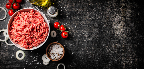 Poster - Minced meat in a bowl with onion rings, tomatoes and spices. 