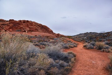 Wall Mural - Chuckawalla and Turtle Wall trail desert hiking views Cliffs National Conservation Area Wilderness, Snow Canyon State Park St George, Utah, United States.