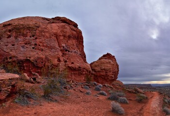 Wall Mural - Chuckawalla and Turtle Wall trail desert hiking views Cliffs National Conservation Area Wilderness, Snow Canyon State Park St George, Utah, United States.