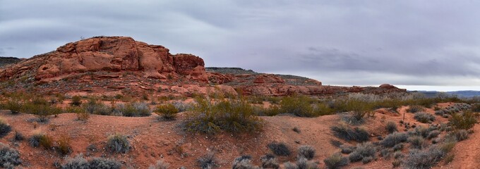 Wall Mural - Chuckawalla and Turtle Wall landscape views from trail  Cliffs National Conservation Area Wilderness Snow Canyon State Park St George, Utah