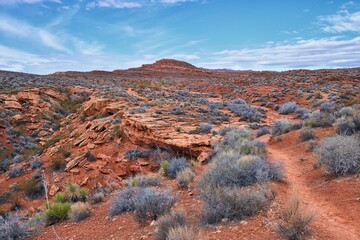 Wall Mural - Chuckawalla and Turtle Wall landscape views from trail  Cliffs National Conservation Area Wilderness Snow Canyon State Park St George, Utah