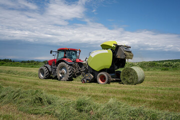 Baling hay baling or pressing hay pressing with hay baler in the fields on farm. 