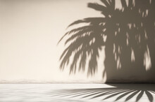 Palm Tree Frond Leaf Shadow Casting On A Grey Tropical Concrete Wall