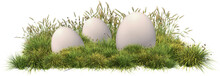 Easter, Eggs, Nest, Grass, Egg, Hq Cutout, Arch Viz	