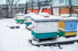 beehives in the garden in winter snow floor. Wintering honeybees in fresh air outside winter. Hives on apiary in December in Europe. old apiary of multi-hull hives.