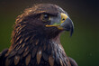 Portrait of eagle, ai generated illustration.
