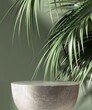 Minimal, modern polished concrete cement round podium, tropical palm tree in sunlight on dark green wall background for luxury organic cosmetic, skin care, beauty treatment product display 3D