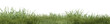 © EcoSpace - Evergreen grass field in nature,  meadow in springtime, Tropical forest isolated on transparent background - PNG file, 3D rendering illustration for create and design or etc