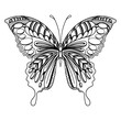 Butterfly art mandala zentangle coloring page illustration