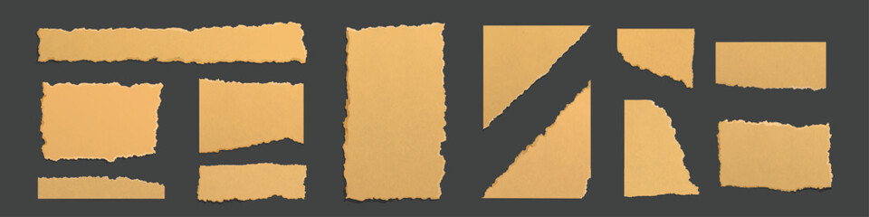 Poster - set of ripped paper or cardboard pieces isolated on black background. realistic vector illustration 