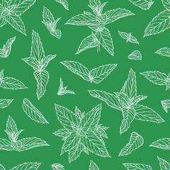 Hand Drawn Peppermint Leaves Seamless Pattern. Floral Green Background with Fresh Mint Leaf. Medicinal Plant or Spicy Herb Vector illustration