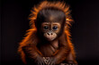 Portrait of a baby orang utan on a black background. generative ai