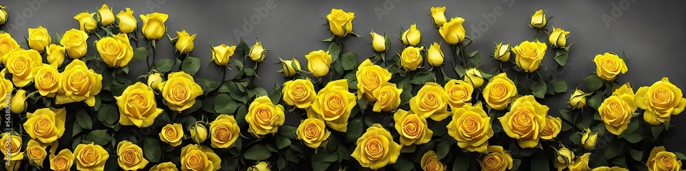 Gorgeous yellow roses - panoramic illustration of colorful yellow ...