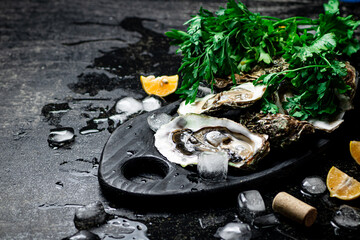 Sticker - Fresh oysters on a cutting board. 