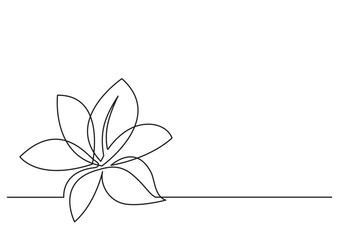 Poster - continuous line drawing vector illustration with fully editable stroke - flower element