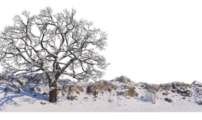 Canvas Print - 3D render forest and nature in winter