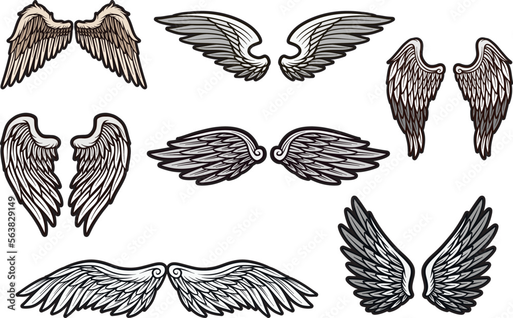 Hand Drawn Wings. Set of hand drawn bird or angel wings of different shape in open position Vector Illustration