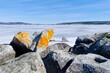 Stones on the beach of Andresön island by the frozen Storsjön lake