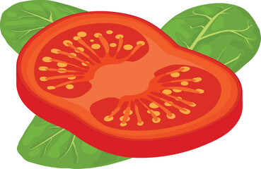 Wall Mural - Salad ingredient icon isometric vector. Fresh red tomato slice and spinach leaf. Organic food, healthy nutrition