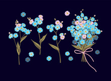 Vector Set Of Forget Me Not Flowers